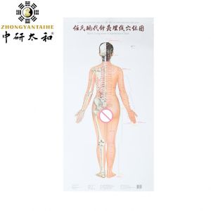 Individualized Acupuncture Culture Harnessing Body's Natural Healing Abilities