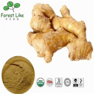 Natural Colorant Ginger Extract Powder 10% 20% 95% 98% Curcumin