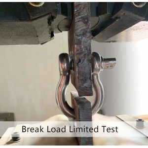 Rigging Lifting Stainless Steel D Shackle with Screw Pin Polished and Durable