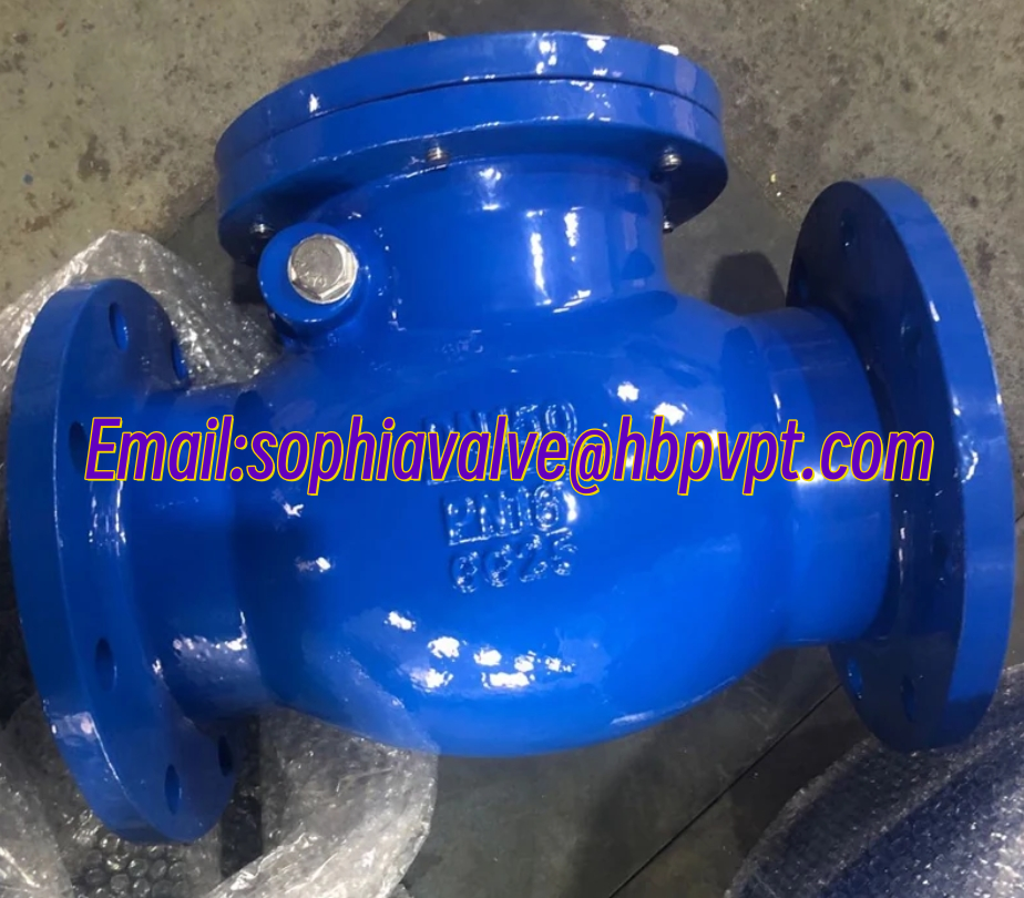 Design standard DIN GG25 metal seal cast iron check valve
