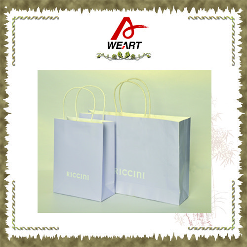 Quality Gift / Shopping Personalised Paper Carrier Bags With Twisted Handle wholesale