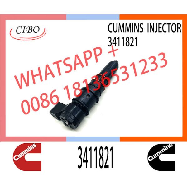 Diesel Common Rail fuel Injector Assembly 3411821 3406604 3071497 4914328