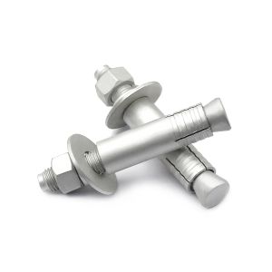 Mechanical Expansion Anchor Bolt Stainless Steel M20 Through Bolt