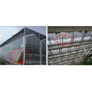 8m 9.6m 12m Span Width Multispan Greenhouse With Hydroponic System And Glass
