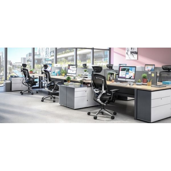 GT Footrest Ergonomic Office Chair Workwell BIFMA Design Classical Model