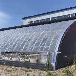 Cheap Arched Roof Greenhouse The Ultimate Sunlight Solution for Tomato and Cucumber Farming for sale