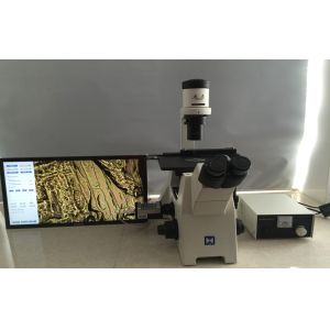 Trinocular Inverted Biological Microscope For Research Cell Culture