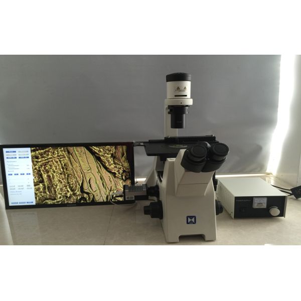 Quality Trinocular Inverted Biological Microscope For Research Cell Culture wholesale