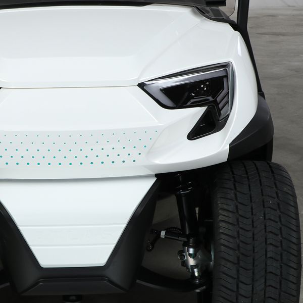 4 Front Seats & 2 Rear Electric Golf Cart 48V Lithium Battery High Climbing Ability