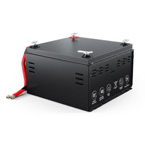 Cheap IP30 Case Protection 48V LiFePO4 Lithium Battery Nominal Voltage 51.2V DC Backup Power for Uninterruptible Power Systems for sale