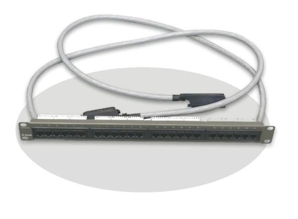 Quality Ethernet 24 Port Network Patch Panel For Chassis Switch RJ-45 Connectors Flow Control wholesale