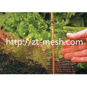 China Galvanized Welded Wire Mesh With Flat-type And Corrugated Type Surface Spiral Wound Or Compressed Craft on sale