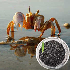 Sodium Soluble Humic Acid 40% Powder / Flake for Aquaculture Feed Additives