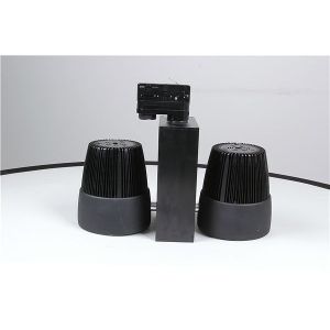 High Lumen ra>82 or 90 COB Led light track 2X30W with Epistar Chip and white