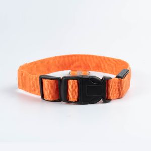 LED Dog Collar Waterproof Adjustable USB Type-C Recharge Solid Pattern Flashing