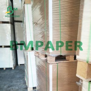 110lb 23x36" 25x37" C1S Index Cover Ivory Boared For Brochures