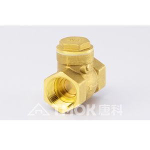 Cheap DN20 Tilting Disc Check Valve for sale