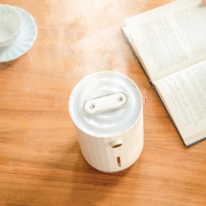 Battery 4000mah Air Humidifier Diffuser USB 1100ml Wireless Air Purifier