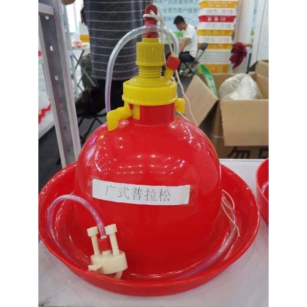 Quality Chicken Plasson Bell Drinker For Poultry Farm Plasson Drinker,Automatic Poultry Chicken Plasson Plastic Drinker for Hens wholesale