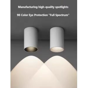 Surface Mounted LED Ceiling Lights 15W 30W 50W Die Casting Aluminum SMD LED