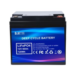 LiFePo4 Battery Pack High Cycle Life Rechargeable Portable 12.8V 60Ah Battery