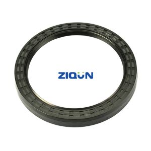 China 375087 Scania Bus 3 Series Shaft Seal Ring on sale