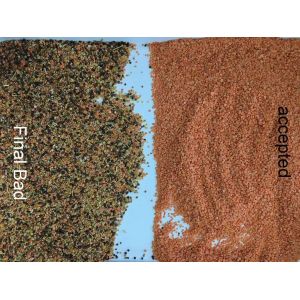 Black Lentil Dal Color Sorter 8 chutes 512 Channels with LED variable light