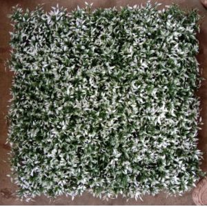China Artificial Wall Grass For Elevating Your Building'S Aesthetics With 50cm*50cm Size The Perfect Exterior Solution on sale