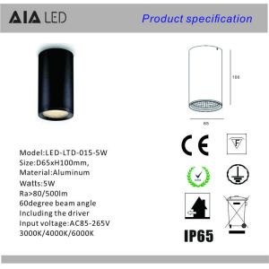 IP65 waterproof outside black cylinder COB LED downlight&LED outdoor down light