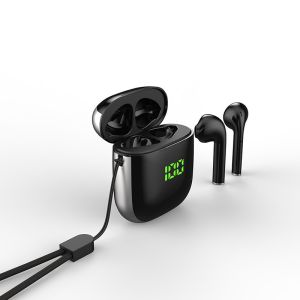 Hot Selling Cheap Bluetooth True Wireless Type-C Earbuds (with wireless charging