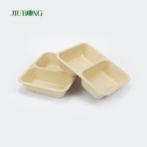 Disposable Biodegradable Sugarcane Clamshell Food Container 3 Compartment