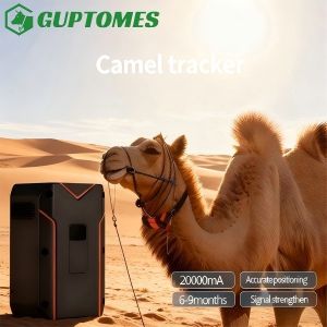 Durable Camel GPS Tracker GPS BDS WIFI Multi Positioning For Harsh Environment