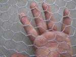 Galvanized Hexagonal Wire Netting 3feet breeding chicken coop wire mesh