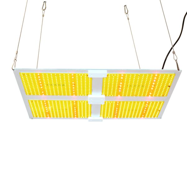 Quality AC100V Horticulture Quantum Board wholesale