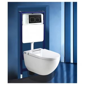 Floor Mounted Installation Modern Ceramic Toilet WC with Plastic Steel Flush
