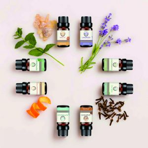 Natural Diffuser Aromatherapy Massage Oil Aroma Essential Oils Gift Set With 14