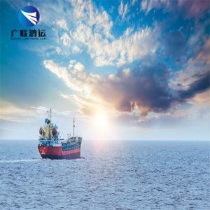 China LCL International Sea Freight Forwarder Ocean Transportation CIF DDU DDP on sale