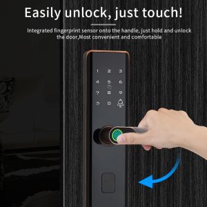 RoHS Tuya Smart Fingerprint Door Lock With Password Memory Card