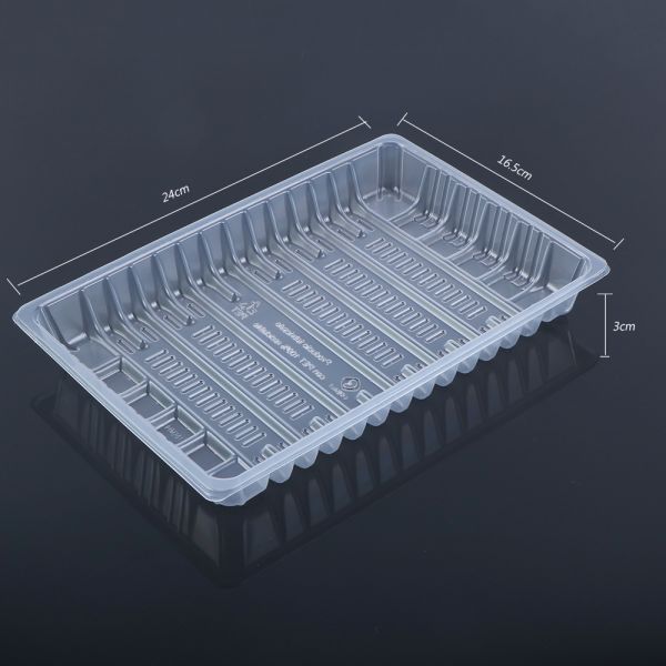 Frozen 24*16.5*3CM Dumpling Tray Polypropylene Food Packaging