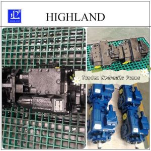 Cheap 1 Year Cast Iron Tandem Hydraulic Pumps with Black Or Blue Color for sale