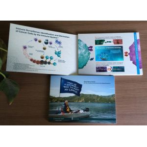 Cheap 2017 custom design TFT Screen LCD Video Brochure Digital Advertising Branding brochures with full color printing for sale