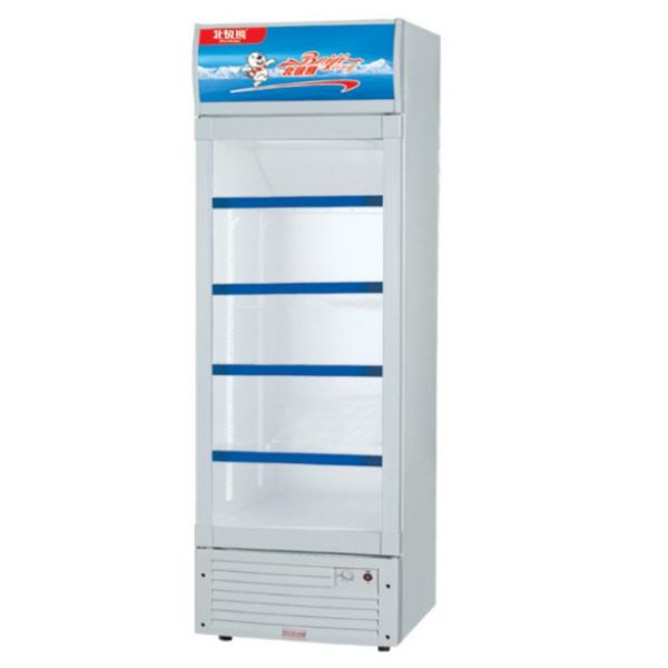 Quality 233L Upright Display Freezer Electric 220V CB CE Certificate wholesale