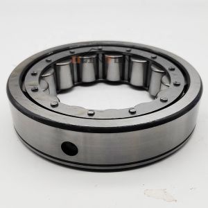 6V1013 Cylindrical Roller Bearing for CAT D6D Bulldozer Engine 3306 Heavy Duty
