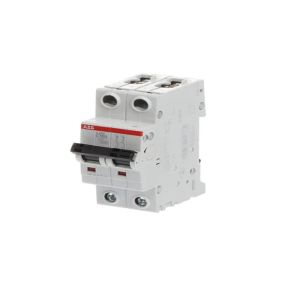 ABB S202-C100 2CDS252001R0824 S202-C100 Miniature Circuit Breaker - 2P - C - 100