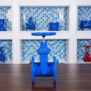Buy cheap PN10 PN16 Soft Seal Gate Valve GGG40 Cast Iron F4 Gate Valve Water Gas Oil from wholesalers