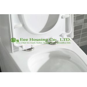Wc Toilet With Dual Flush Ceramic One Piece , Gravity Flushing Elongated Wall