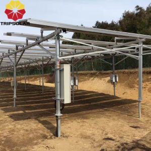 Anodized PV Solar Panel Installation Ground Mounting System for Maximum