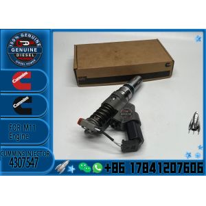 High Quality Fuel Injection Pump 4307547 4307547 for Cummins Excavator QSM11