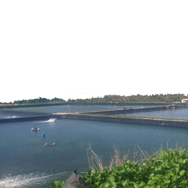 Online Technical Support HDPE Geomembrane for Man-made Lakes ASTM Standard in