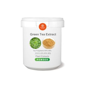 Cheap Factory Supply EGCG Green Tea Extract With 98 Polyphenols for sale